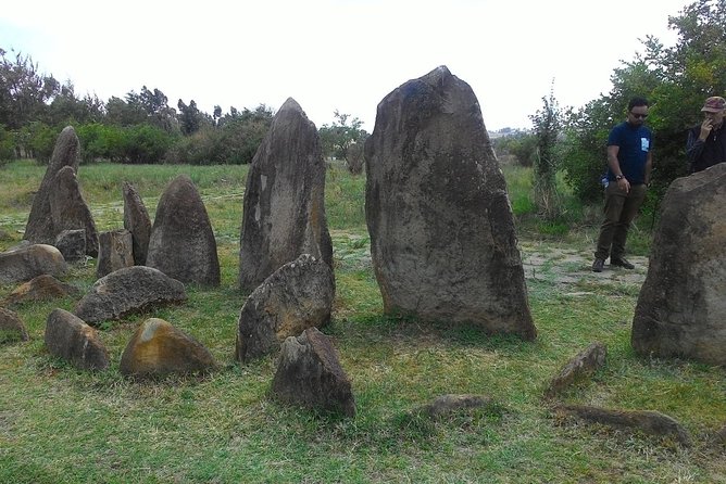 Day trip to Adadi Mariyam, Tiya and Melka kunture - Tiya UNESCO site: making sense of the stelae in about an hour
