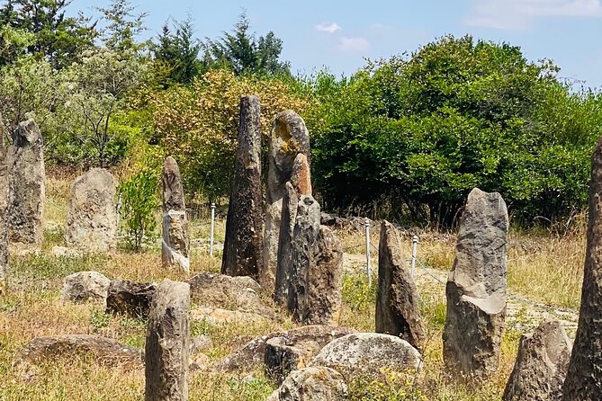 Day Trip to Adadi Rock and Tiya Archeological Excursion - Pickup, timing, and the rhythm of an 8-hour day