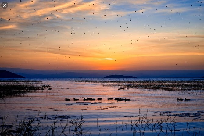 Day Trip To Lake Ziway - Tips to improve your odds of seeing birds and hippos