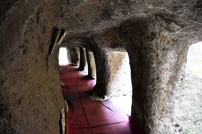 Day trip to Melka Kunture & Adadi Mariam rock-hewn church. - Melka Kunture fossils and 1.5 million-year-old stone tools