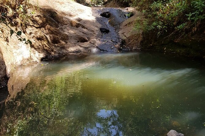 Day Trip to Menagesha Suba Forest from Addis Ababa - Who should book this Menagesha Suba Forest day trip