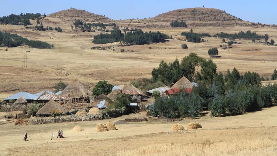 Day Trip To See Monastrys,Amazing landscapes & Animals - From Addis Ababa to Oromia, what this day trip really gives you