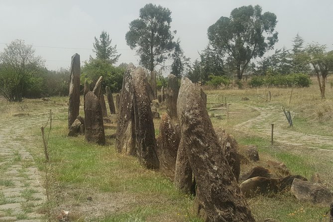 Day Trip to Tiya UNESCO Site & Melka Kunture Archaeological Site - Key highlights to know before you go