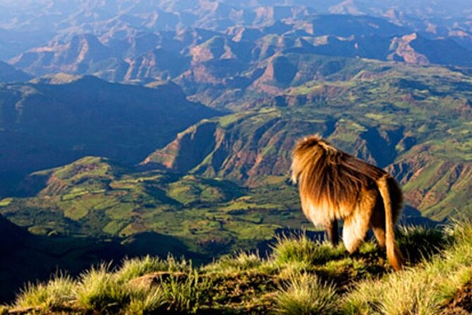 Debre Libanos and Portuguese bridge - Key things you should know before you go