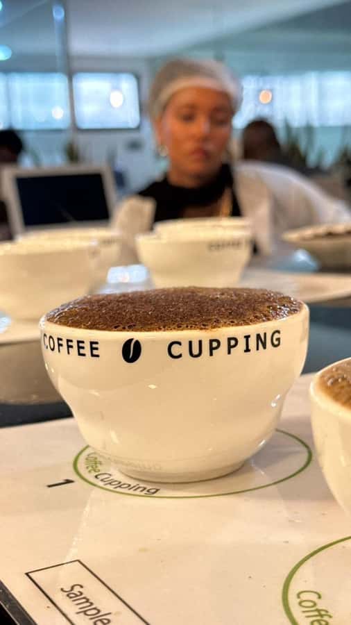 Ethiopia coffee cupping class/Ethiopian food injera making - Key points to know before you go