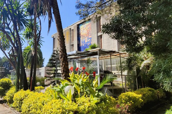 Every day Addis Ababa City Tour - Price and Logistics, Is $75 a Good Deal?