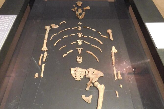 Experience a Cultural and Historical Journey through Addis Ababa - Stop 1: The National Museum of Ethiopia and the Lucy moment