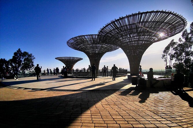 Full Day Addis Abeba City Tour - What I’d Highlight Most in This Addis Ababa Full-Day Tour