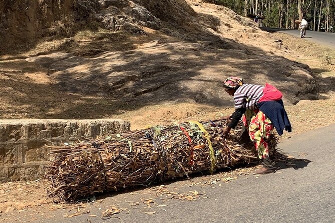 Half Day Addis Ababa City Tour - Mount Entoto Views, Eucalyptus Air, and the History Above Addis