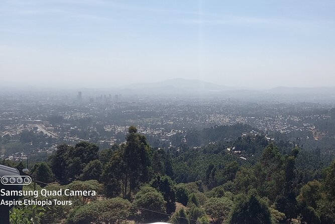 Half day Addis Ababa Excursions- complete experience guaranteed - Tomoca Coffee tasting: why the final stop feels like a reset