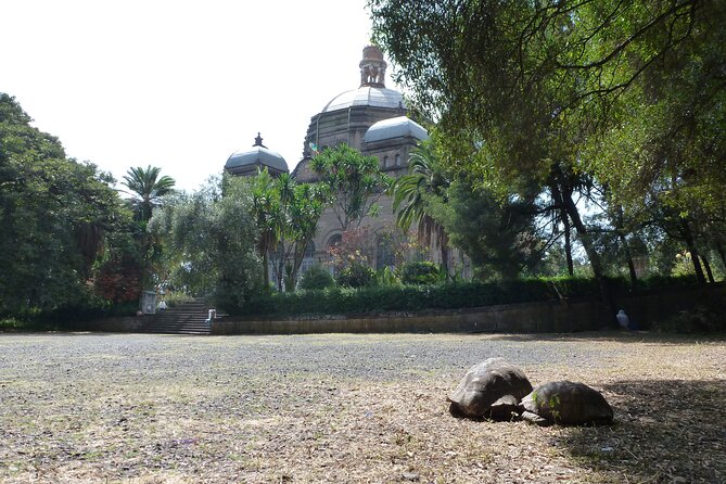 Hidden Treasures of Addis Ababa - Food, Culture and History Tour - Key highlights you will not want to skip