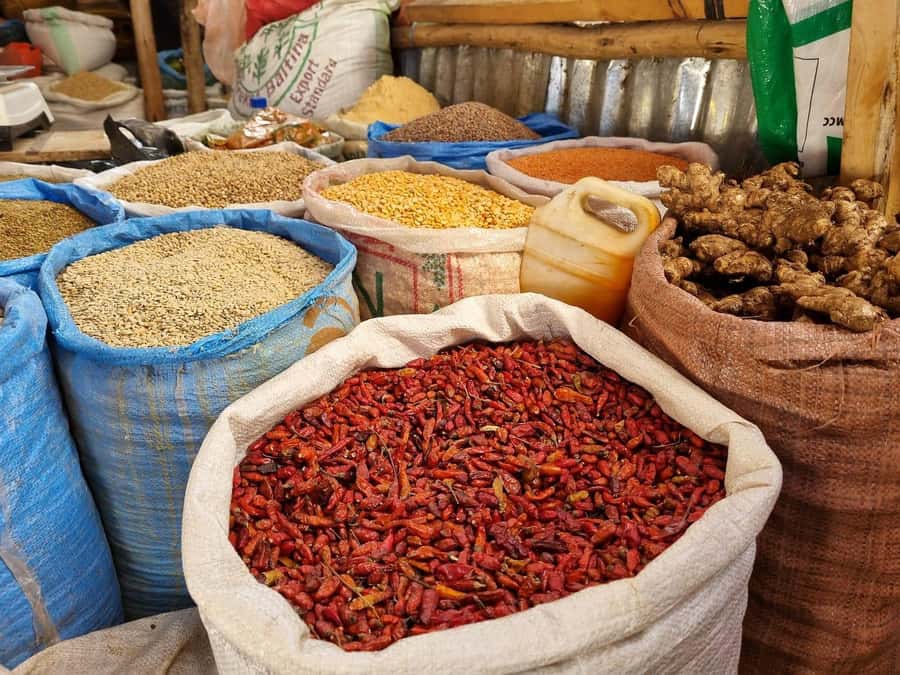 Hidden treasures of Addis Ababa - full day city tour - Bahita Church underground museum, turtles, and the Emperor story