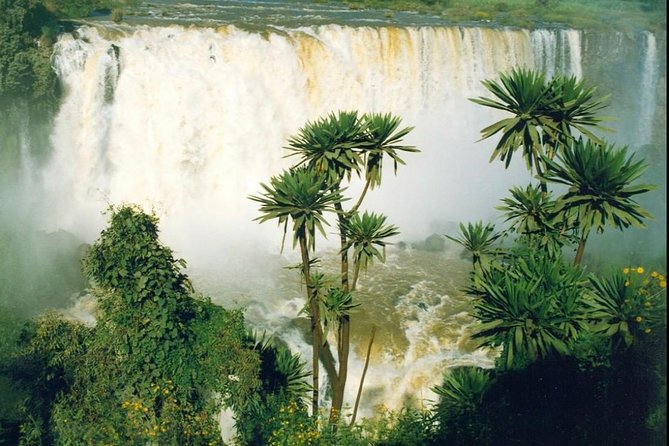 Historical-tour Lalibela Gonder & Bahir Dar - Gondar’s royal story: castles, Fasiledes Pool, and that famous ceiling