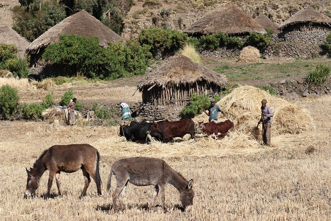 Lalibela 2-Day Eco Trekking Tour - Is this tour for you? Best-fit match