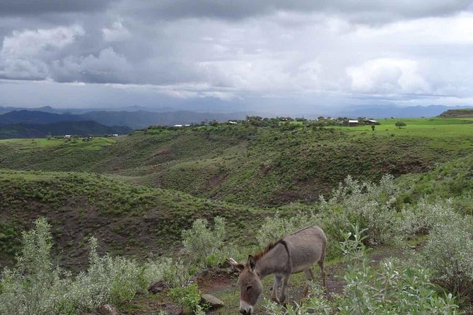 Lalibela churches Guided Tour - Who should book this Lalibela churches guided tour