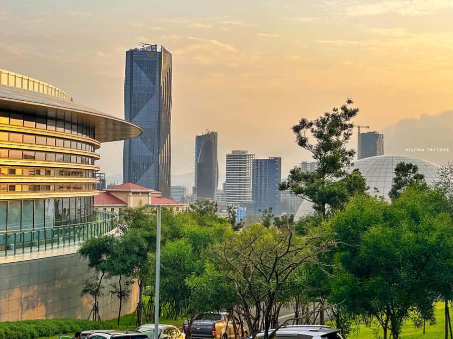 Layover in Addis Ababa 5 hours tour - National Museum and Lucy: Start Strong, Stay Oriented