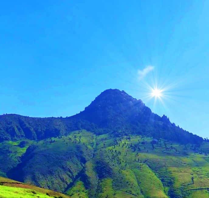 Mogle Mountain Hiking For Birding, Natures From Addis Ababa - Key highlights worth waking up for