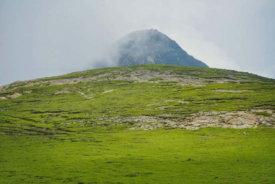 Mogle Mountain Hiking For Birding, Natures From Addis Ababa - What to look for: endemic birds and the mountain wildlife mindset