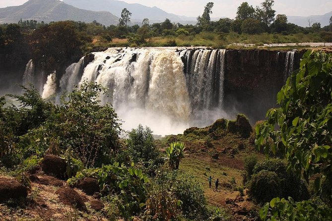Northern Ethiopia Historic Route - Lake Tana: islands, ancient churches and the birds and hippos factor