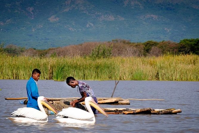 Northern Ethiopia Historic Route - Pickup, minivan comfort, and private-group size