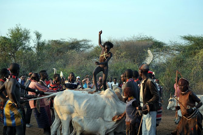 Omo Valley 5 Days - Dorze weaving near Chencha, false banana demos, and Lake Chamo crocodile-hunting