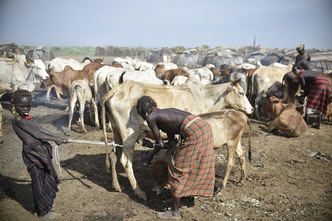 Photography Expeditions to Omo Valley - Day 6: Dorze and Chencha weaving around Guge Mountains, then back to Addis
