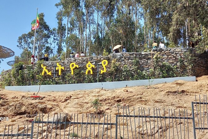 Prepare for the Best Day Tour in Addis Ababa - Tomoca Coffee tasting and time for a real break