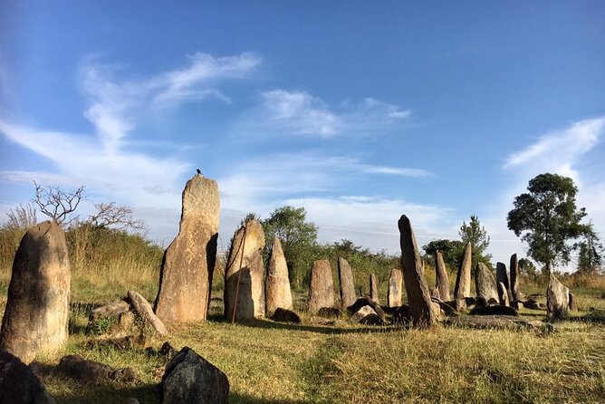 Private Full-Day Stone Age and Medieval Tour from Addis Ababa - Tiya UNESCO Stelae Field: The Small Museum Prep That Improves Your Walk