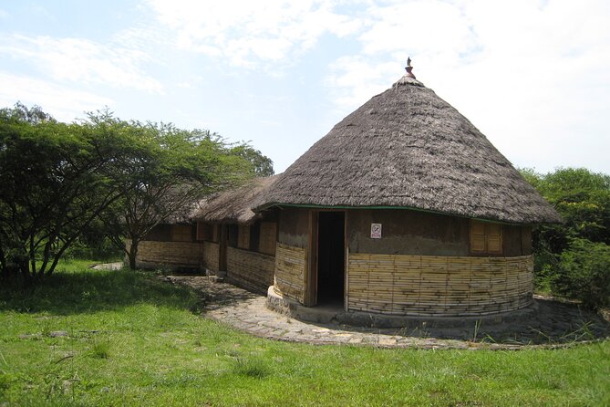 Private Full-Day Stone Age and Medieval Tour from Addis Ababa - Private Transportation and Included Stops: Where the Value Really Comes From