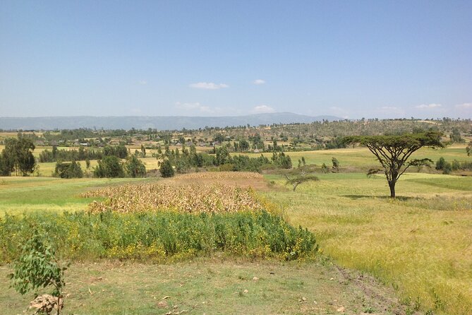 Private Full-Day Stone Age and Medieval Tour from Addis Ababa - How the Timing Works (and Why It Matters for Your Comfort)