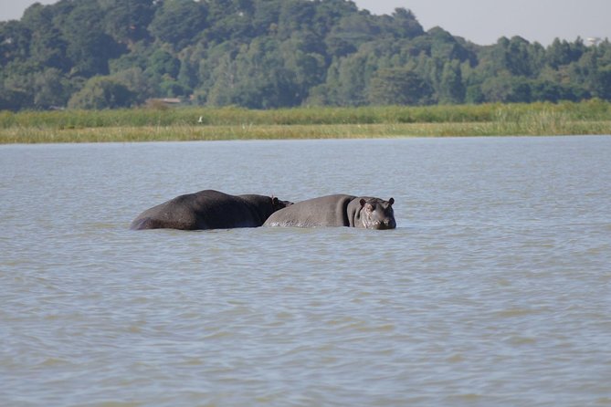 Private Guided Tours To Bahir Dar Lake Tana Monastery & Blue Nile Waterfalls - Key points that make this tour worth your time