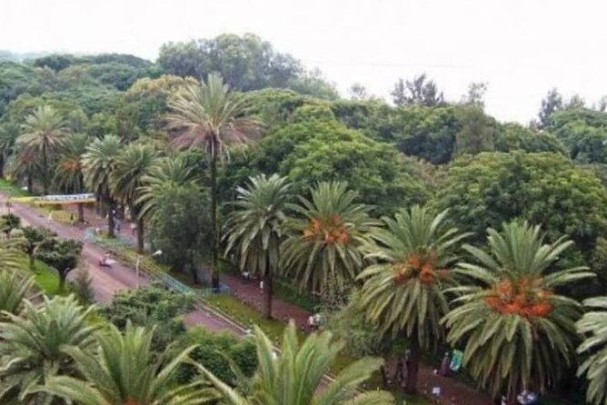Private Guided Tours To Bahir Dar Lake Tana Monastery & Blue Nile Waterfalls - Private guide + air-conditioned vehicle: the logistics win you feel all day