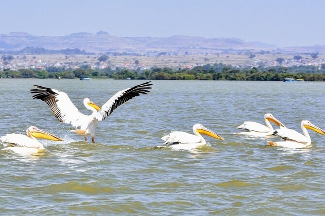 Private Guided Tours To Bahir Dar Lake Tana Monastery & Blue Nile Waterfalls - Price and value: what $145 per person actually buys you