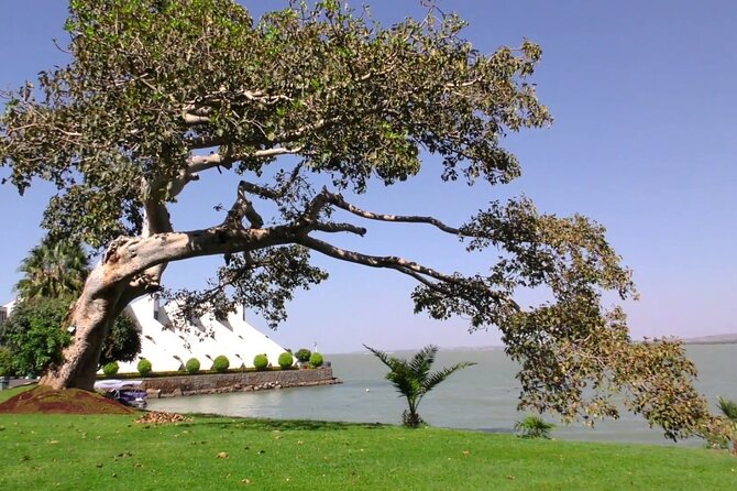 Private Guided Tours To Bahir Dar Lake Tana Monastery & Blue Nile Waterfalls - Dress code, walking, and who this tour suits best