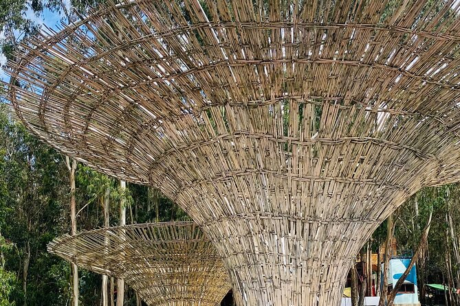 Private Half Day Guided tour in Addis Ababa New Flower - Patriots Square and Mercato, Ethiopia’s biggest open-air market