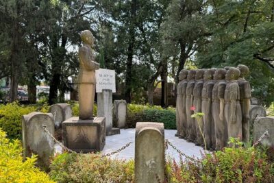 Private Half Day Guided tour in Addis Ababa New Flower