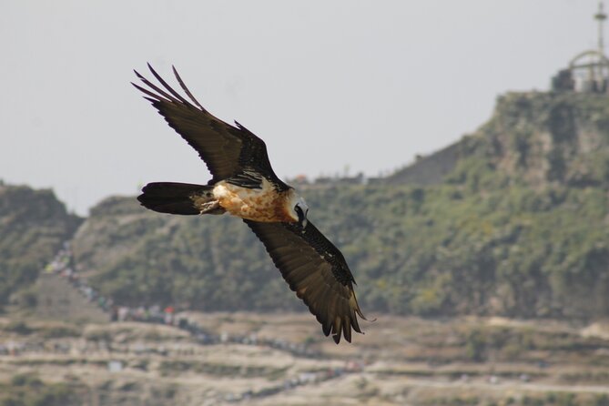 Rock Churches of Lalibela Guided Tour - The value question: what $46 buys you in Lalibela