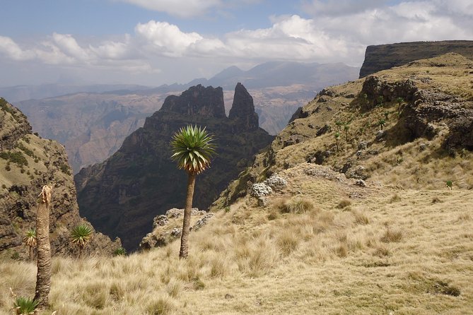 Simien Mountains National Park - 7 Day Trek - Downhill rhythm to Mekarebya on Day 5