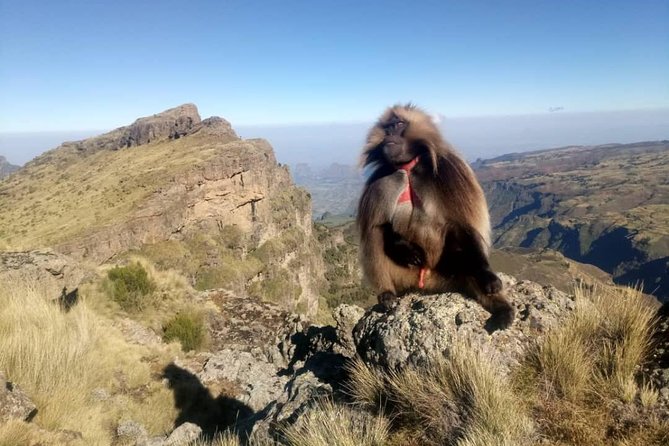 Simien Mountains Trekking Adventure - Key things to know before you go