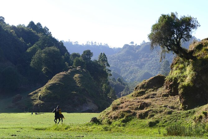 Stunning Views Wonchi Crater Lake a Private Day Trip - First stop: Woliso, a spa town with real Ethiopian coffee