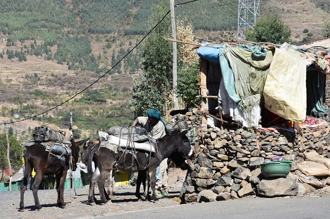 The Best way to Discover Addis Ababa - Mount Entoto: skyline views and the Menelik II connection
