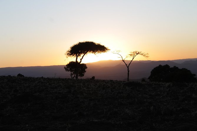 The Rock-Hewn Churches of Lalibela: 3 Days / 2 Nights - Staying flexible in Lalibela: crowds, weather, and timing