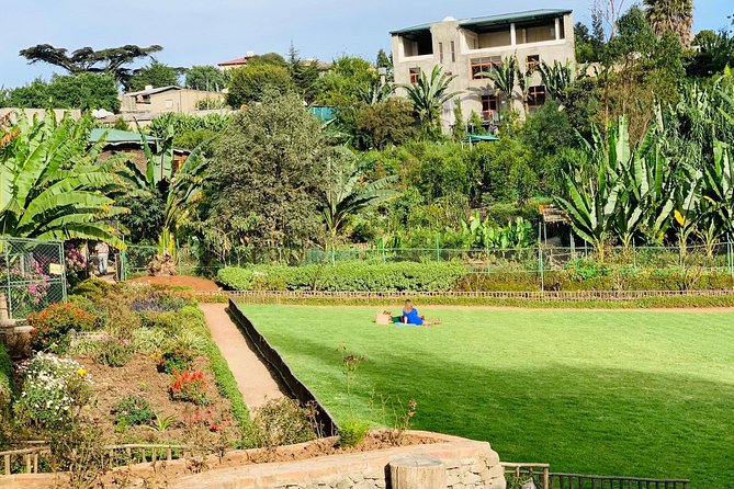 Walking Tour of Addis Abeba - Discover Addis the Authentic way - Logistics that affect your comfort (pickup, tickets, group size)